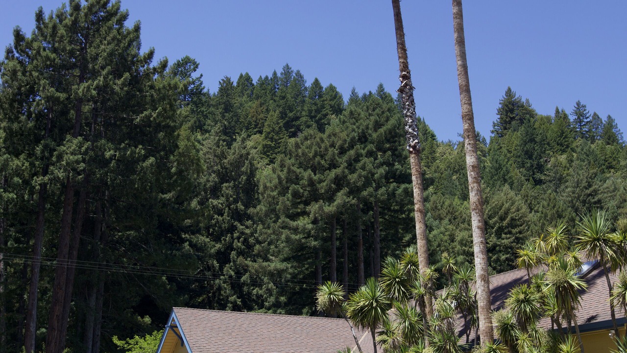 Photo of Outdoor in Guerneville