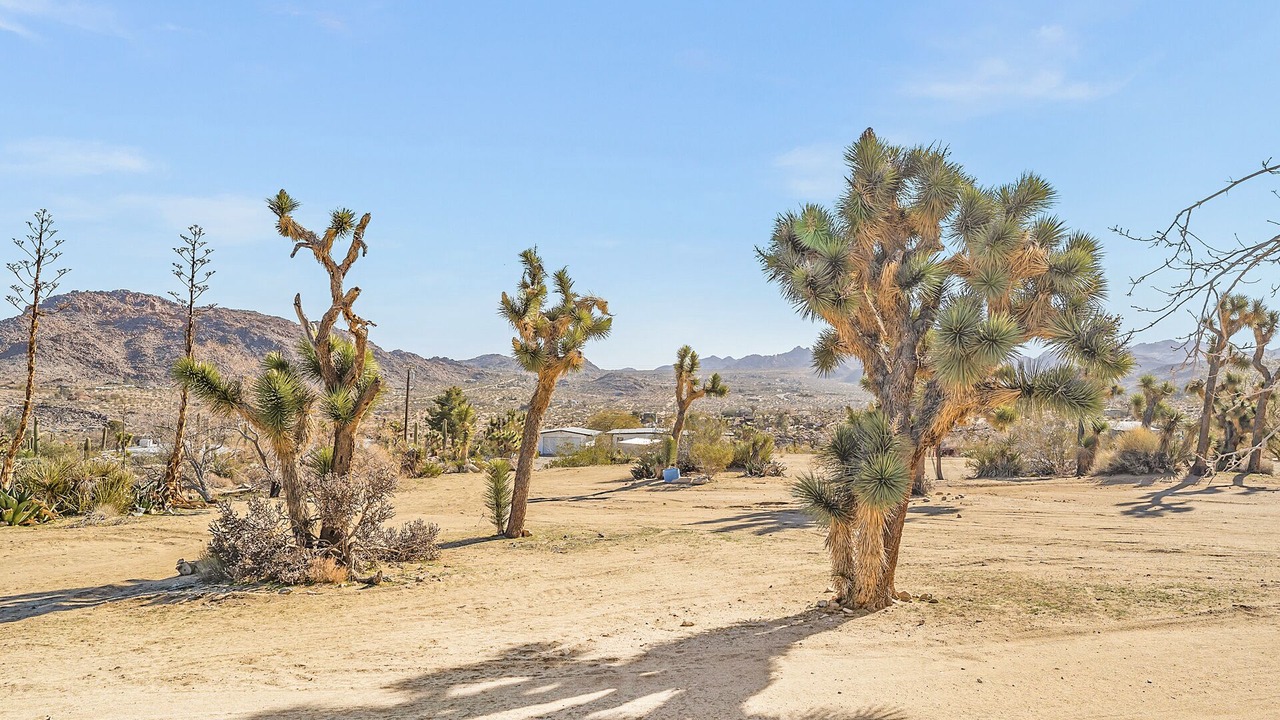 Photo of Others in Joshua Tree Highlands
