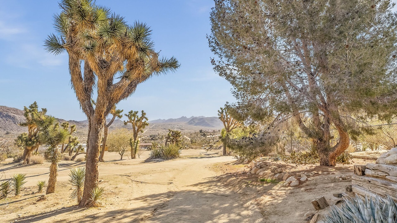 Photo of Outdoor in Joshua Tree Highlands