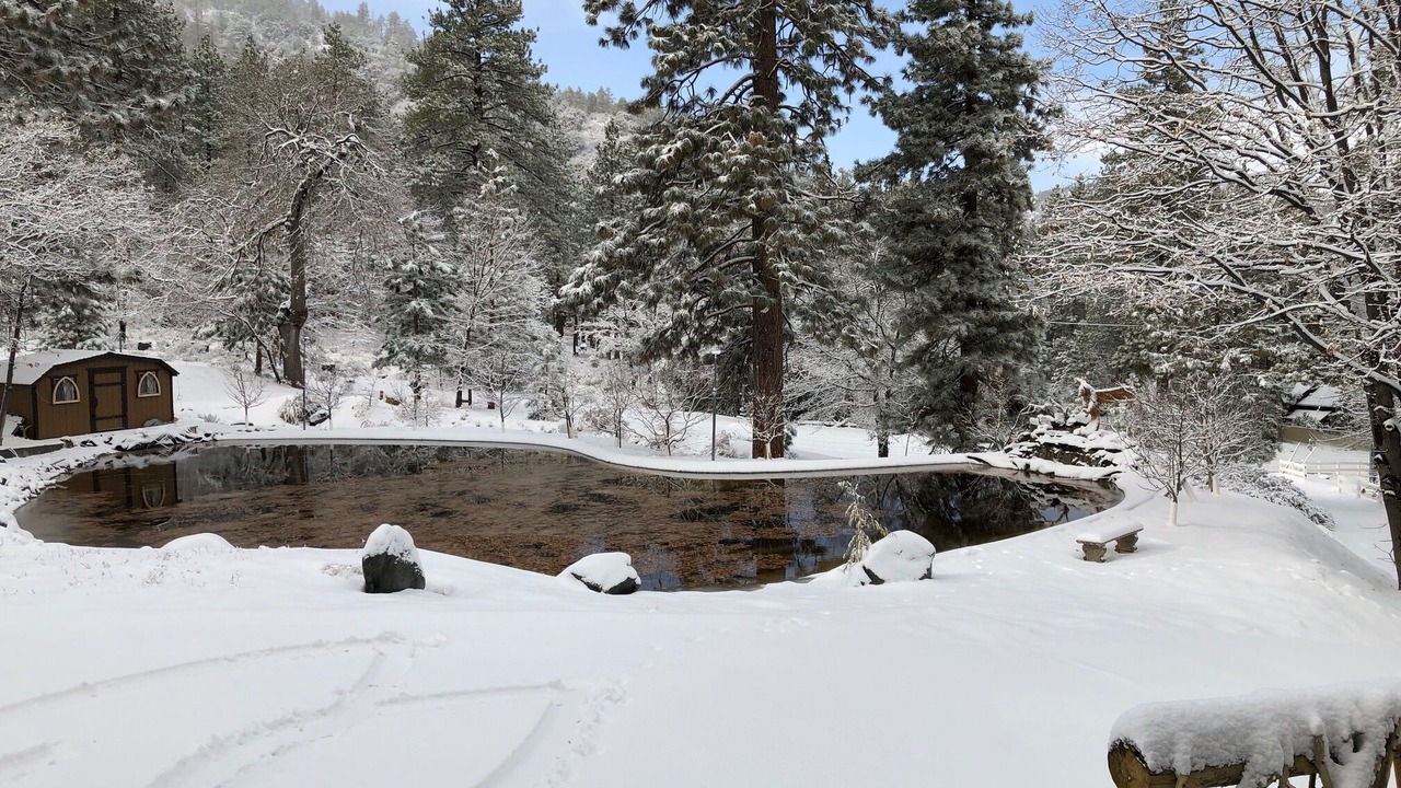 Photo of Others in Wrightwood