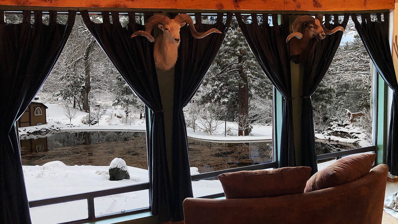 Photo of Others in Wrightwood