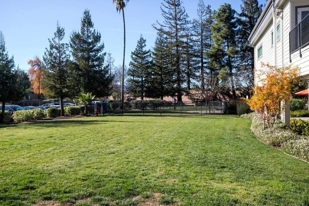 Photo of Outdoor in Campbell