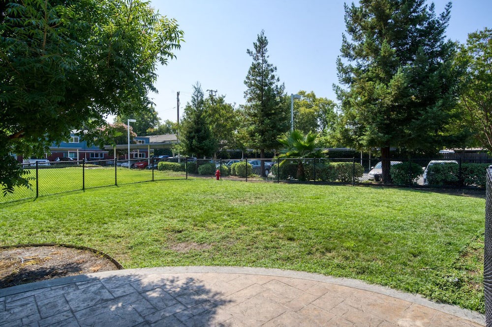 Photo of Outdoor in Campbell