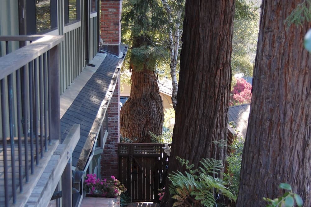 Photo of Others in Mill Valley