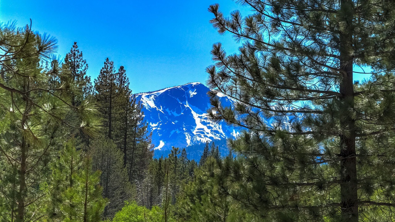 Photo of Outdoor in Black Bart