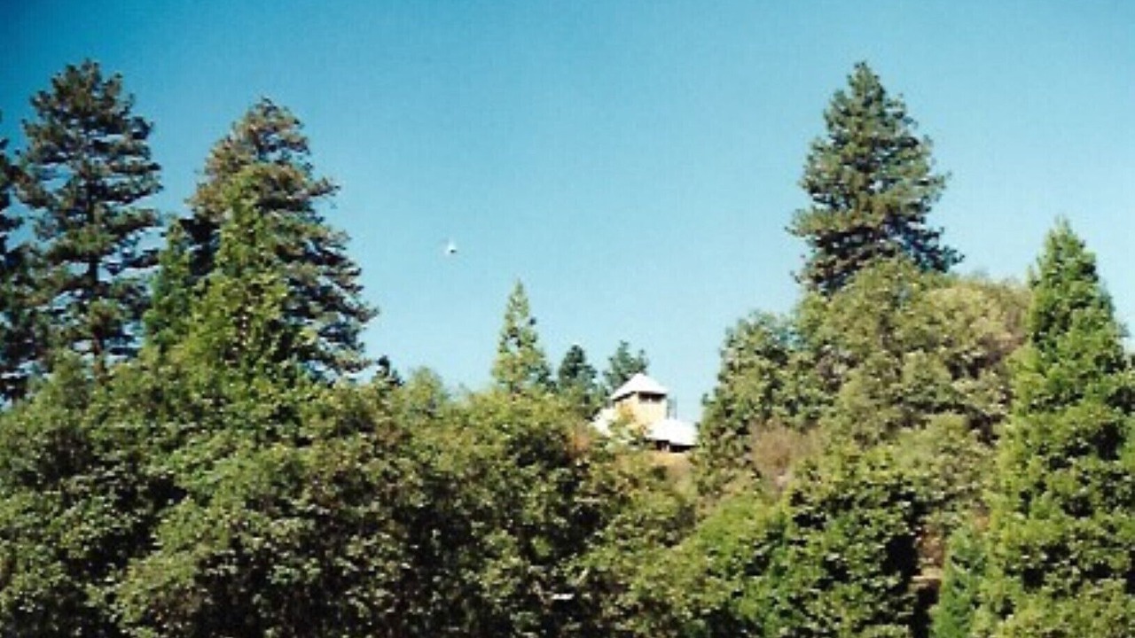 Photo of Outdoor in Springville