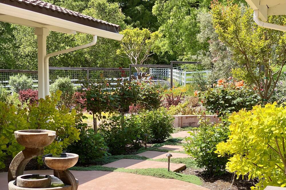 Photo of Outdoor in Sonoma