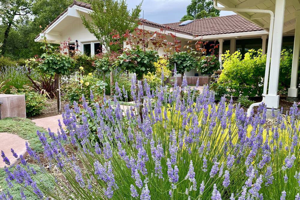 Photo of Outdoor in Sonoma