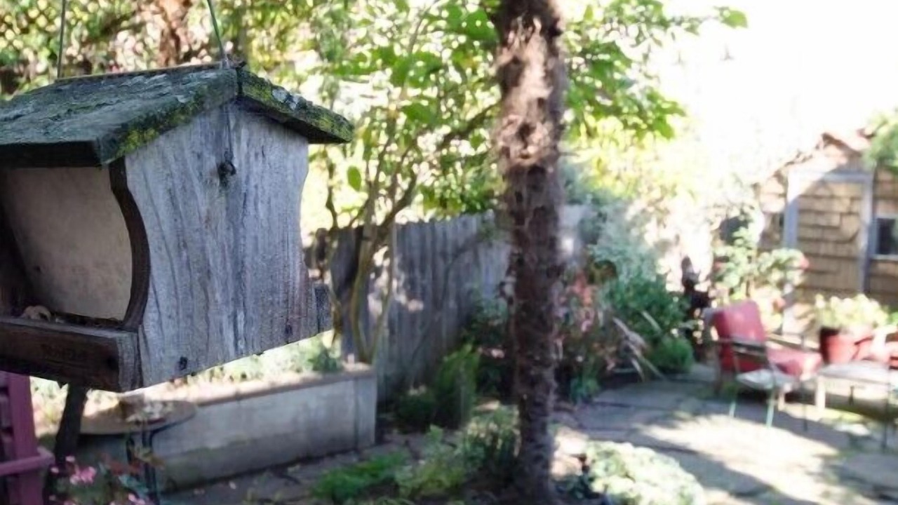 Photo of Outdoor in Castro District