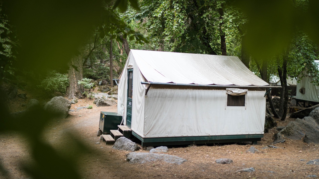 Photo of Others in Yosemite Village