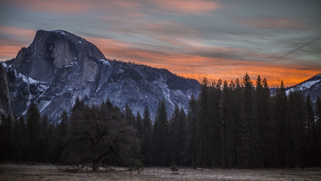 Photo of Others in Yosemite Village
