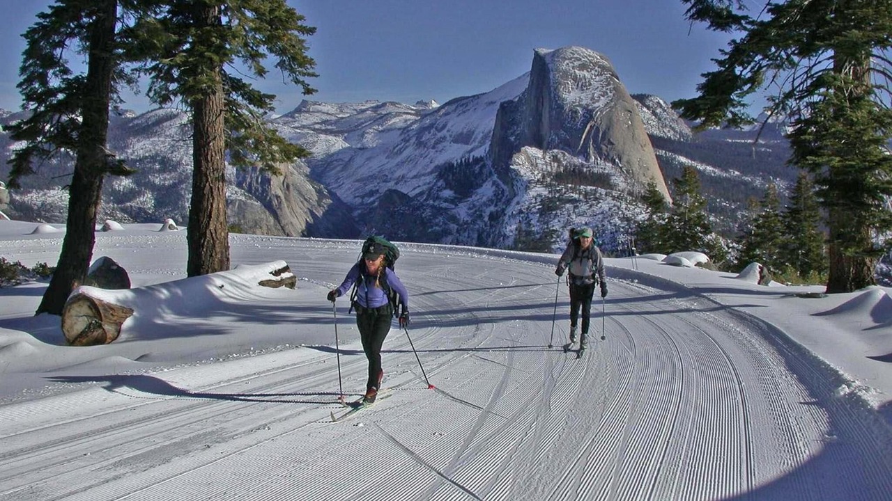 Photo of Others in Yosemite Village