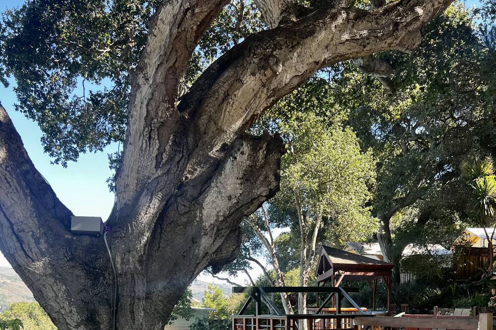 Photo of Outdoor in Carmel