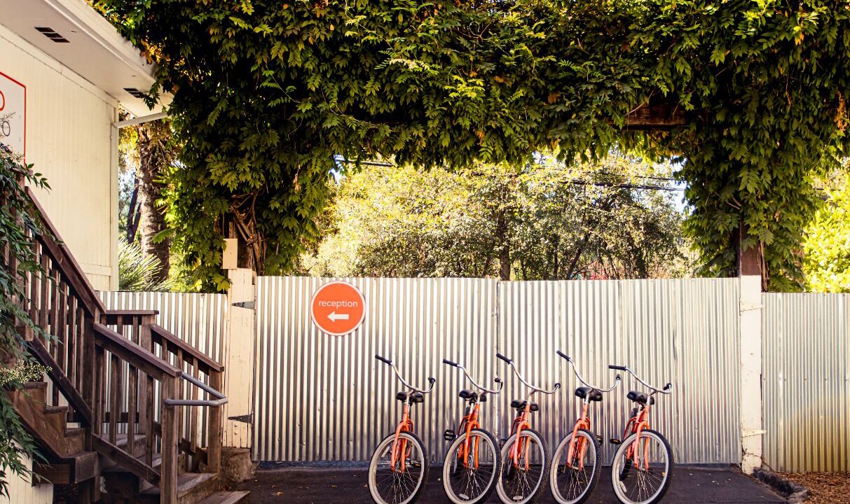 Photo of Outdoor in Guerneville