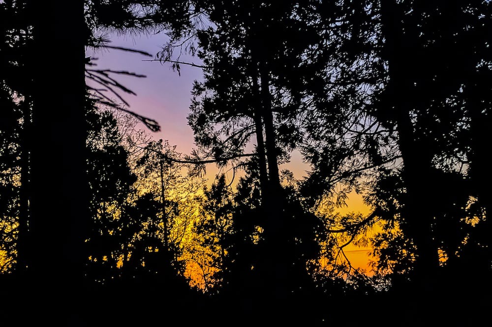 Photo of Others in Idyllwild