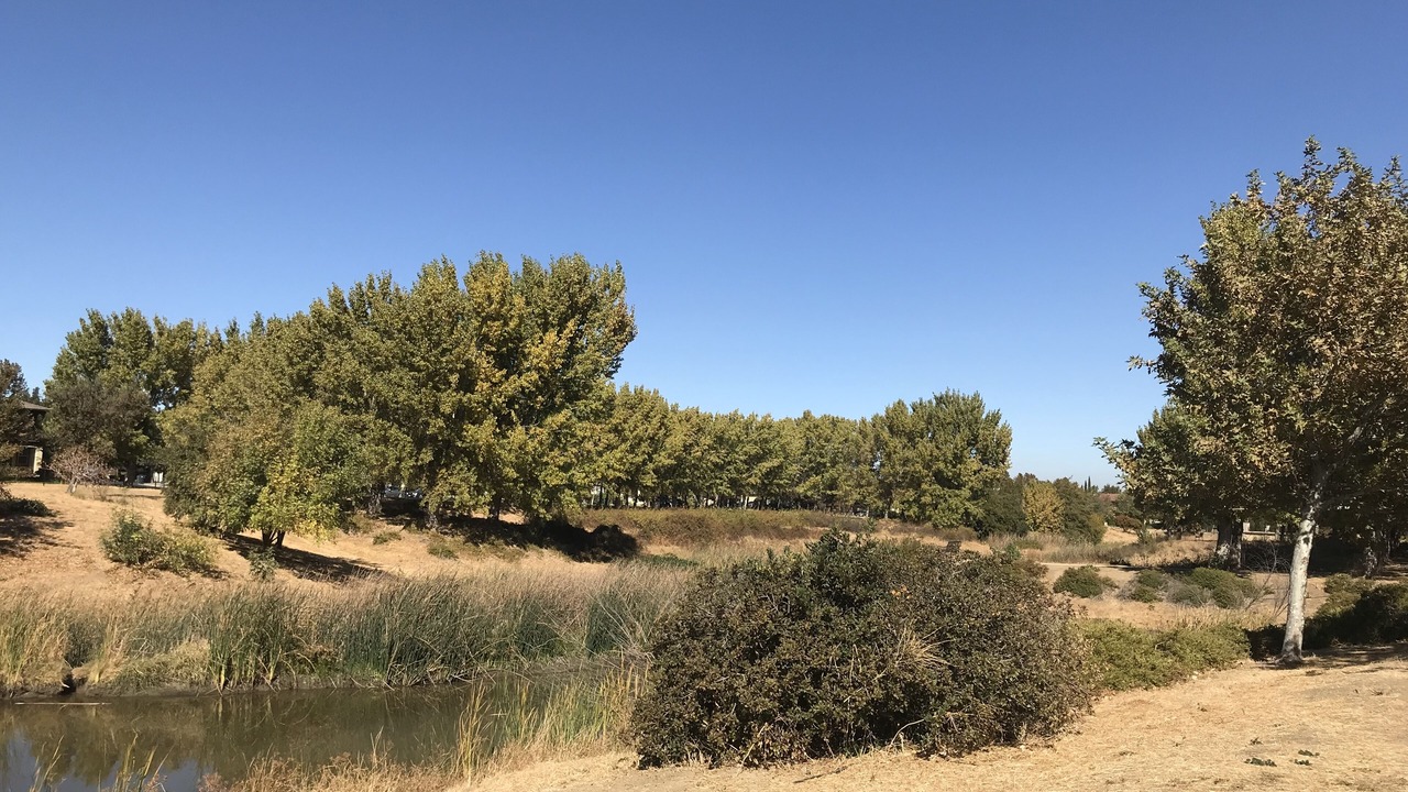 Photo of Outdoor in Tracy