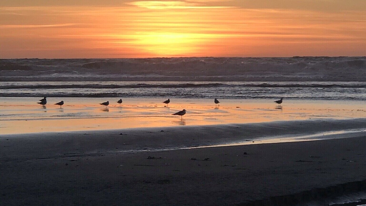 Photo of Others in Encinitas
