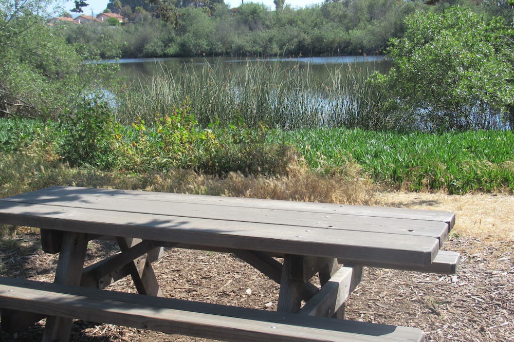 Photo of Outdoor in Oceano
