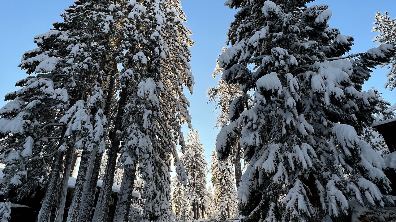 Photo of Others in Tahoe Sierra Estates