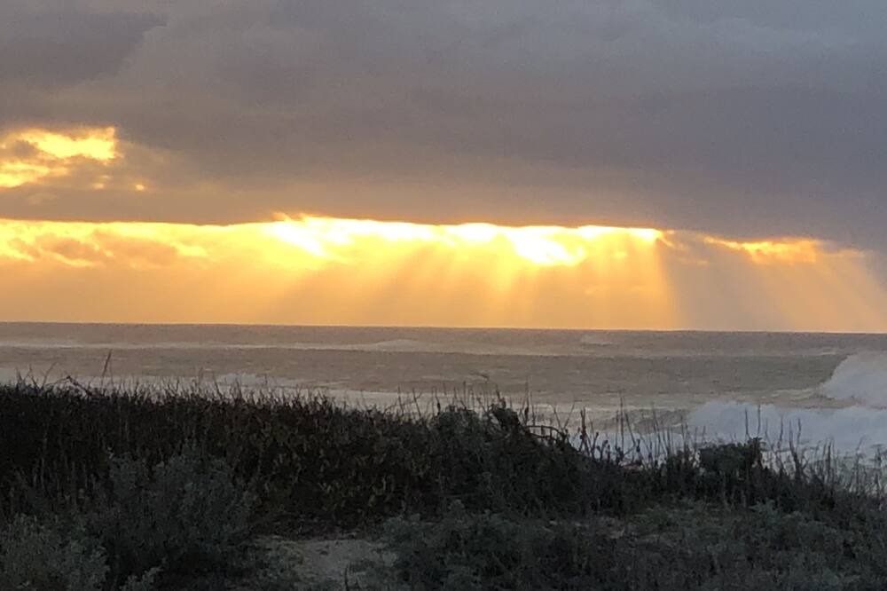 Photo of Others in Pacific Grove