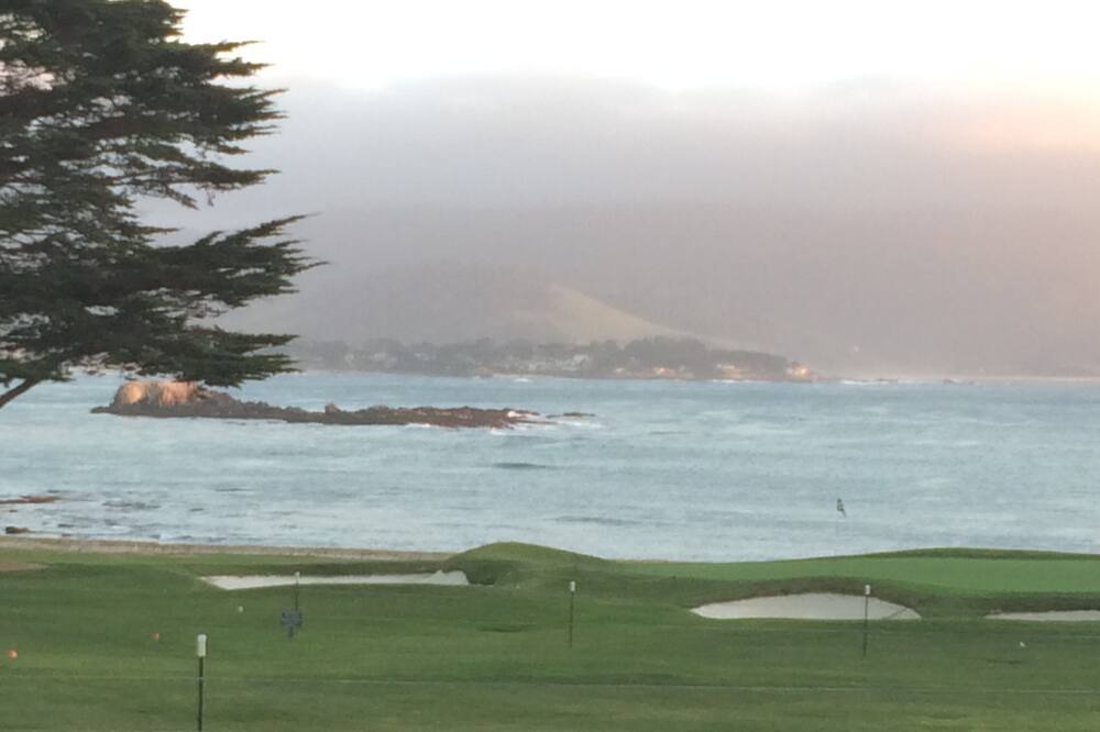 Photo of Others in Pacific Grove
