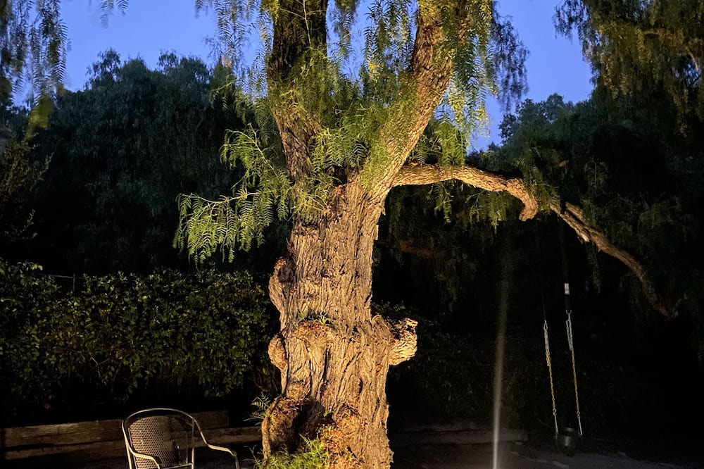 Photo of Outdoor in Mission Canyon