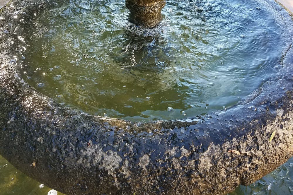 Photo of Outdoor in Mission Canyon