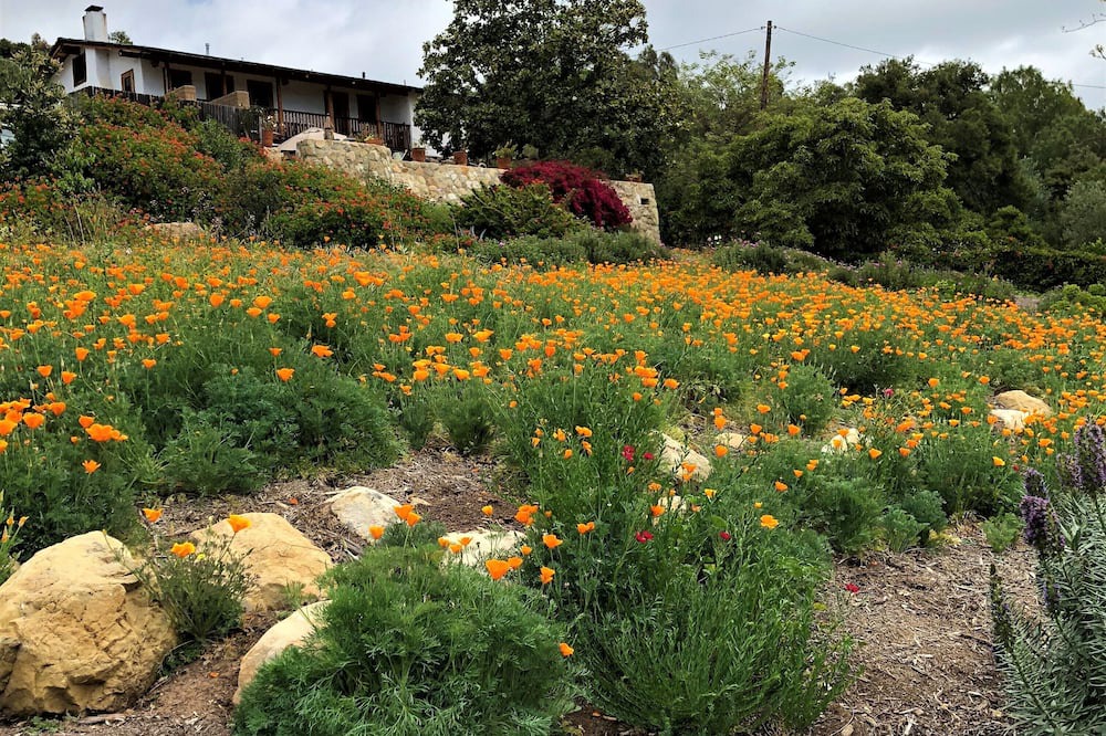 Photo of Others in Mission Canyon