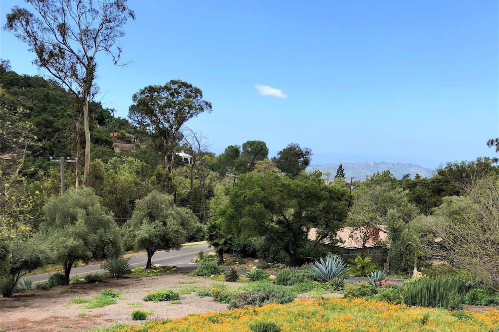 Photo of Others in Mission Canyon