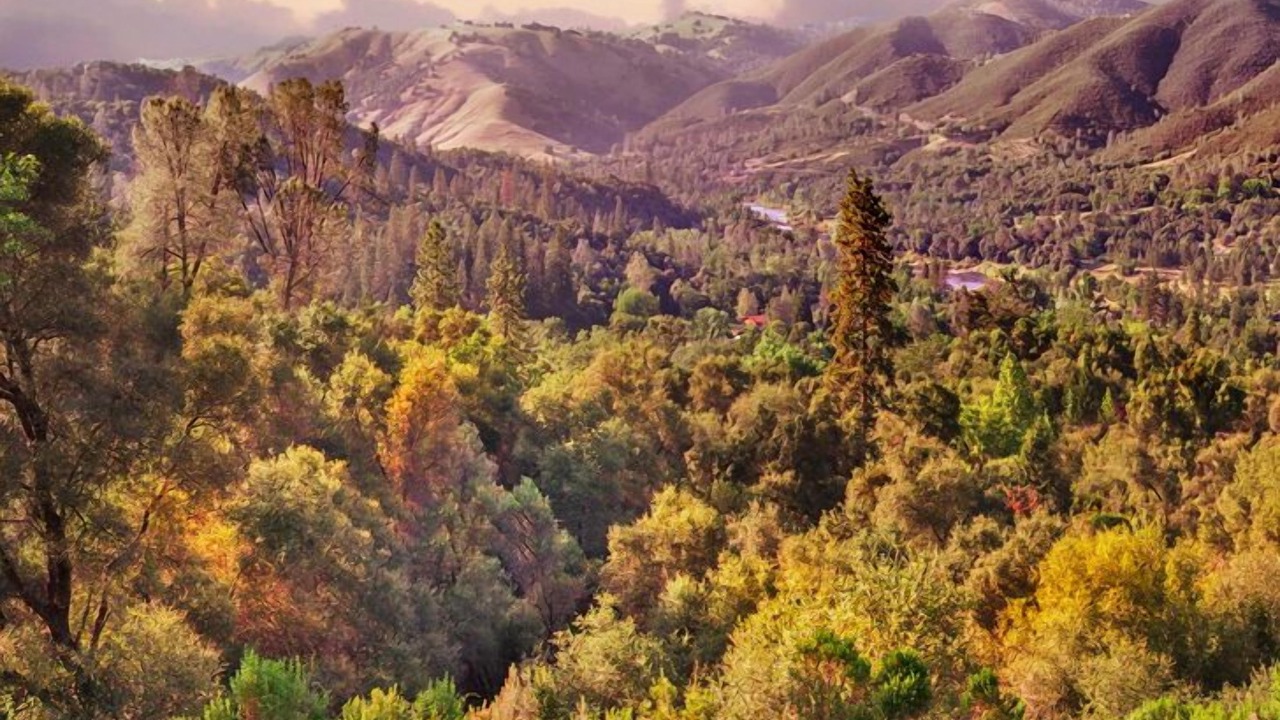 Photo of Outdoor in Placerville