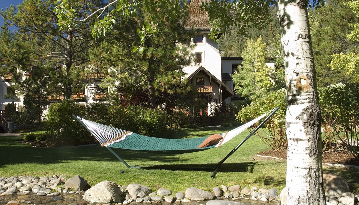 Photo of Outdoor in Olympic Valley