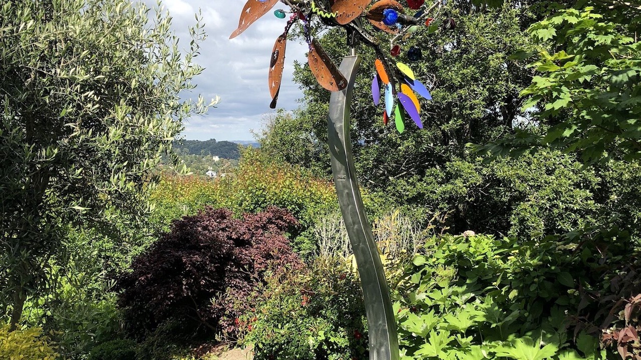 Photo of Outdoor in Mill Valley