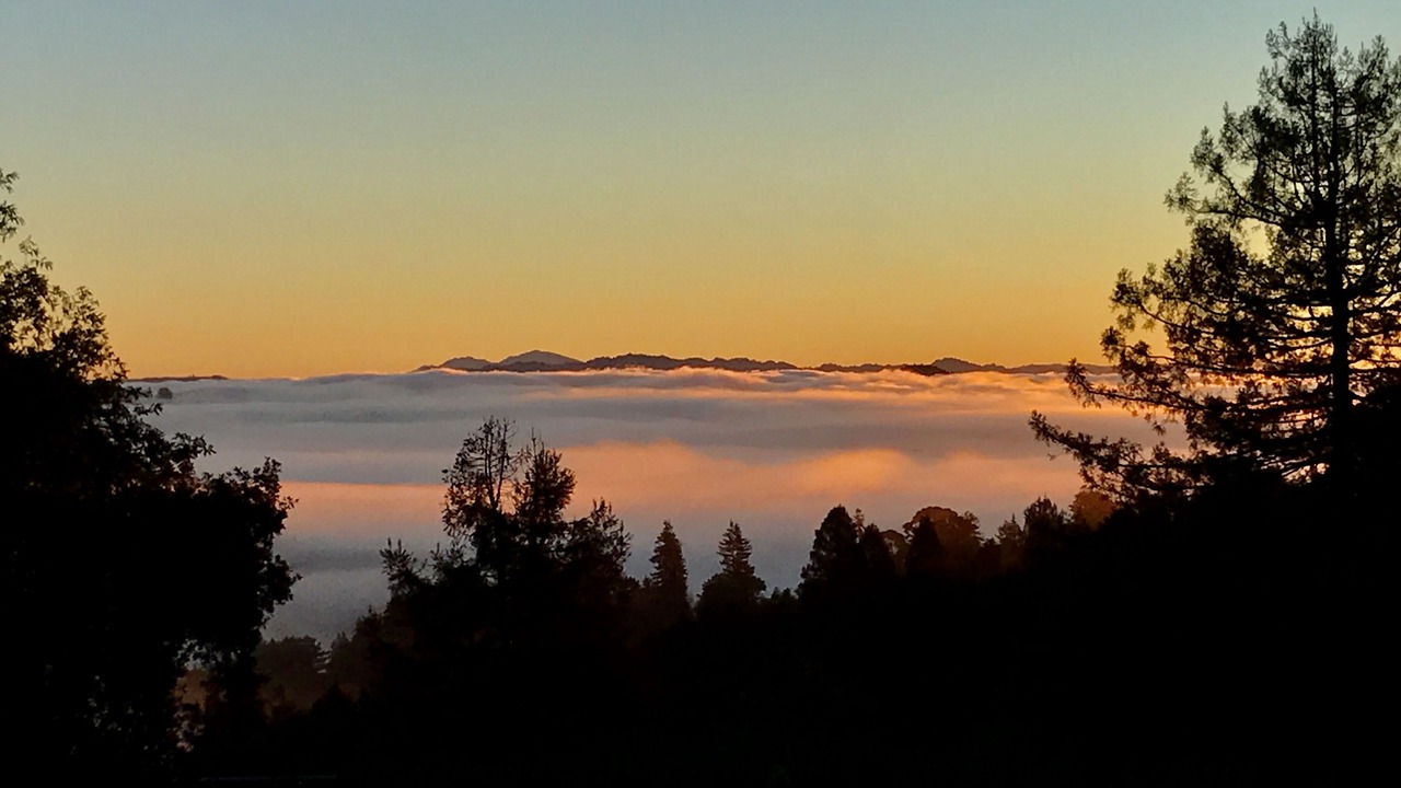 Photo of Others in Mill Valley