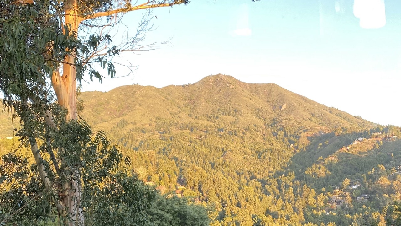 Photo of Others in Mill Valley