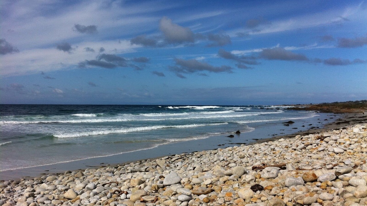 Photo of Others in Northeast Carmel