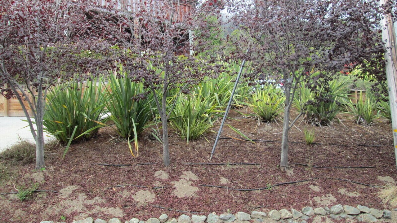 Photo of Outdoor in Stinson Beach