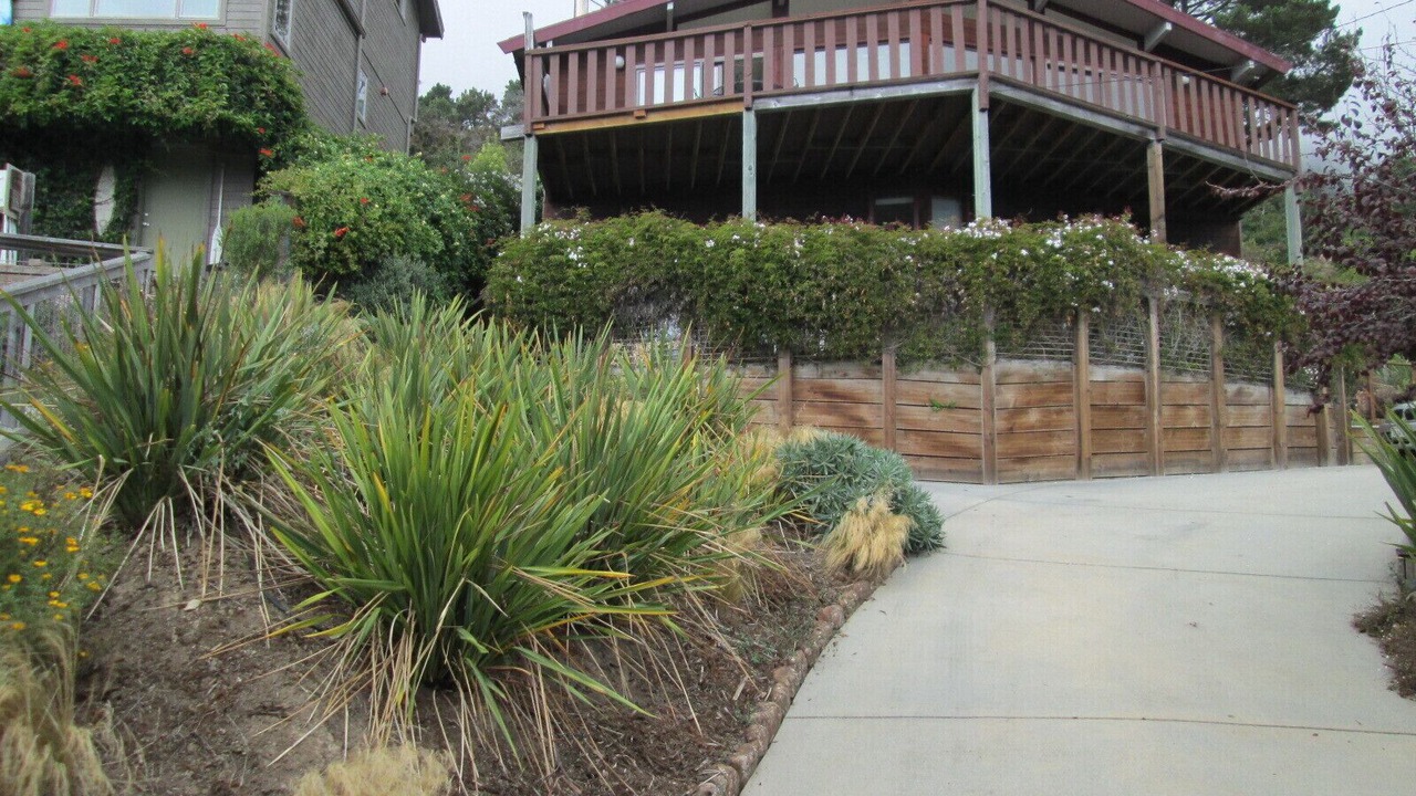 Photo of Outdoor in Stinson Beach