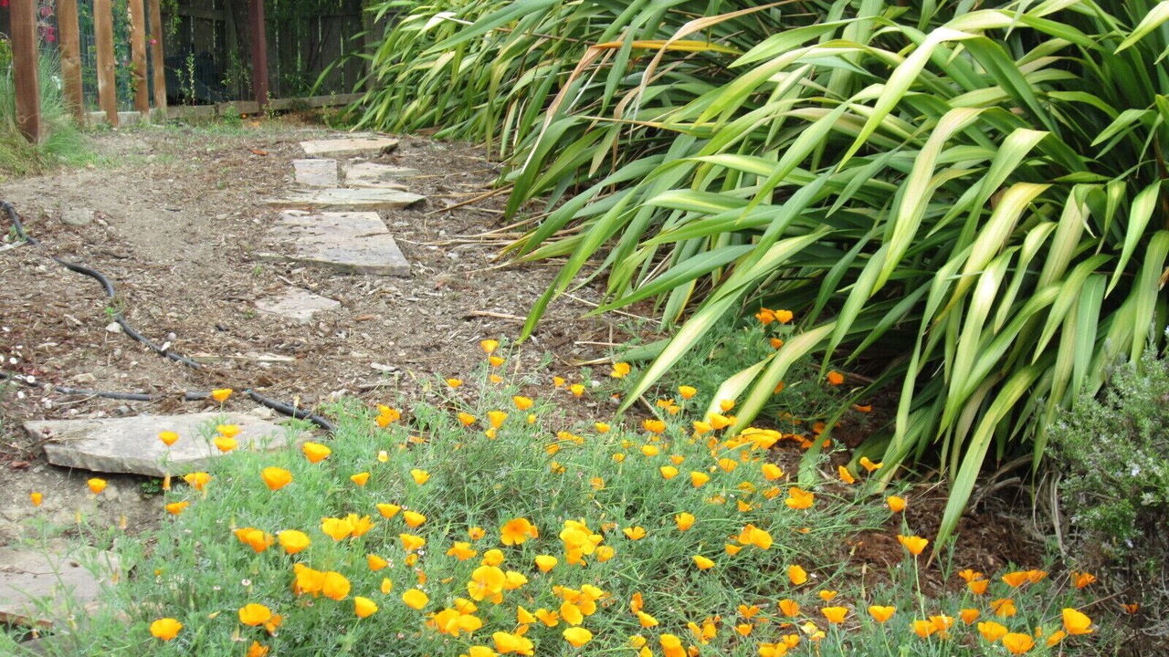 Photo of Outdoor in Stinson Beach