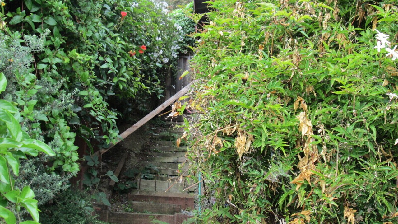 Photo of Outdoor in Stinson Beach