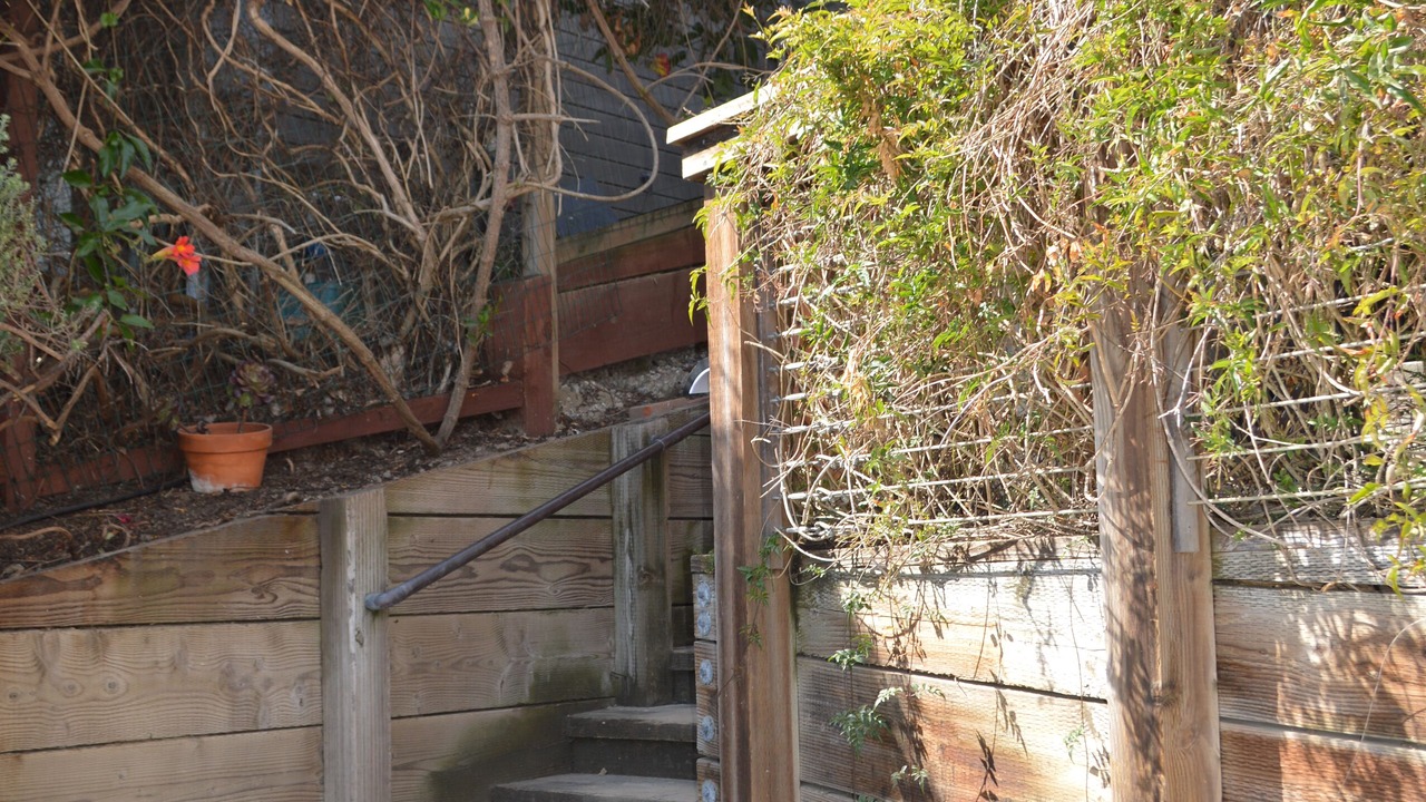 Photo of Outdoor in Stinson Beach