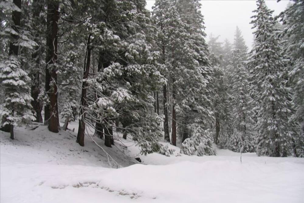 Photo of Others in Tahoe Pines