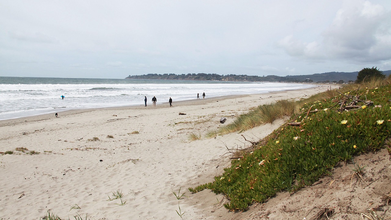 Photo of Others in Stinson Beach