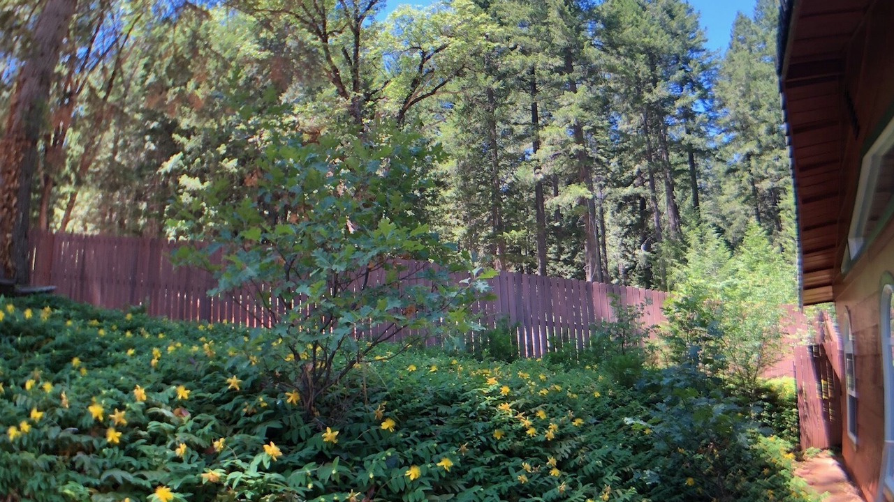 Photo of Outdoor in Dutch Flat