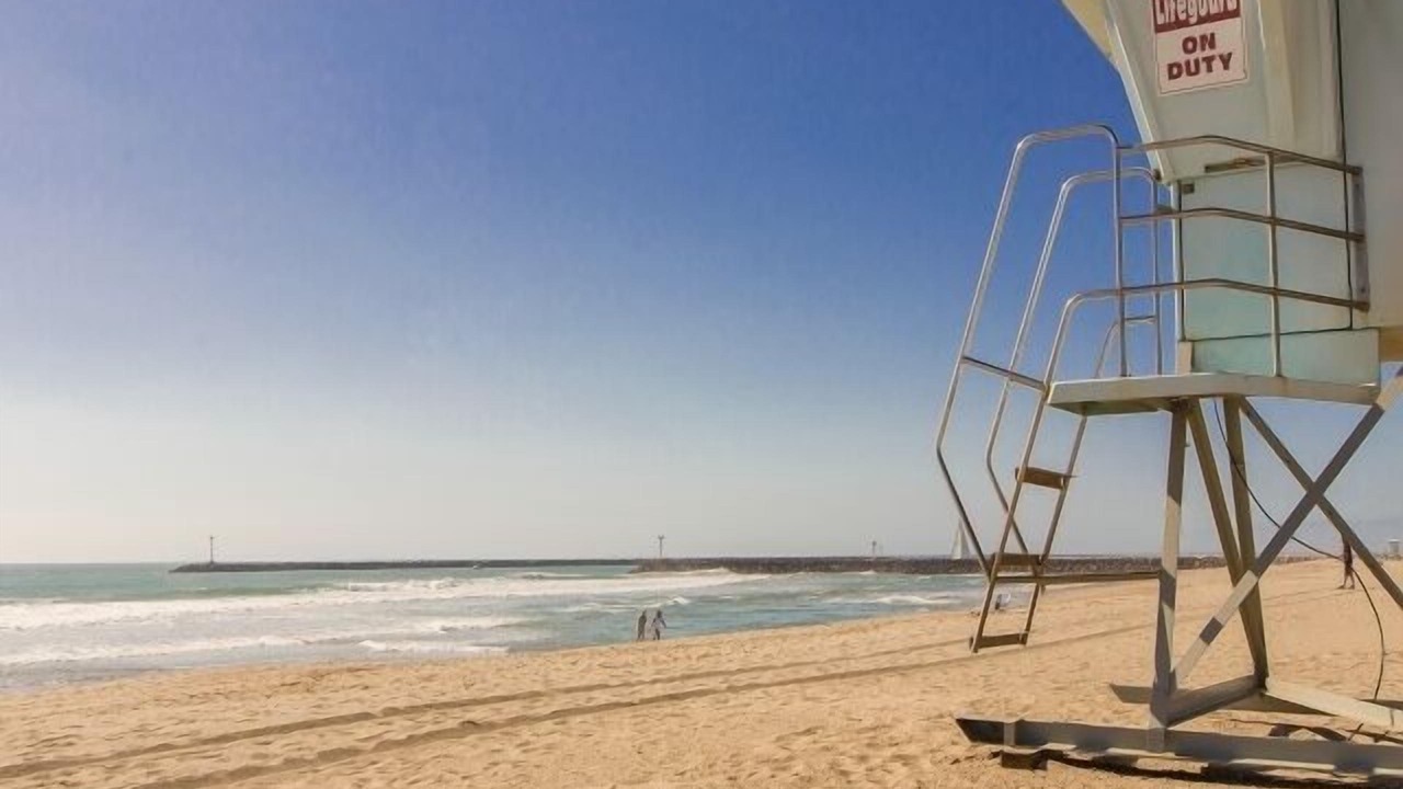 Photo of Others in Hollywood Beach