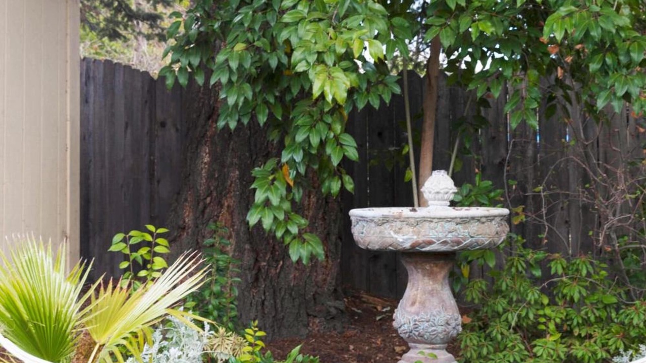 Photo of Outdoor in Boyes Hot Springs