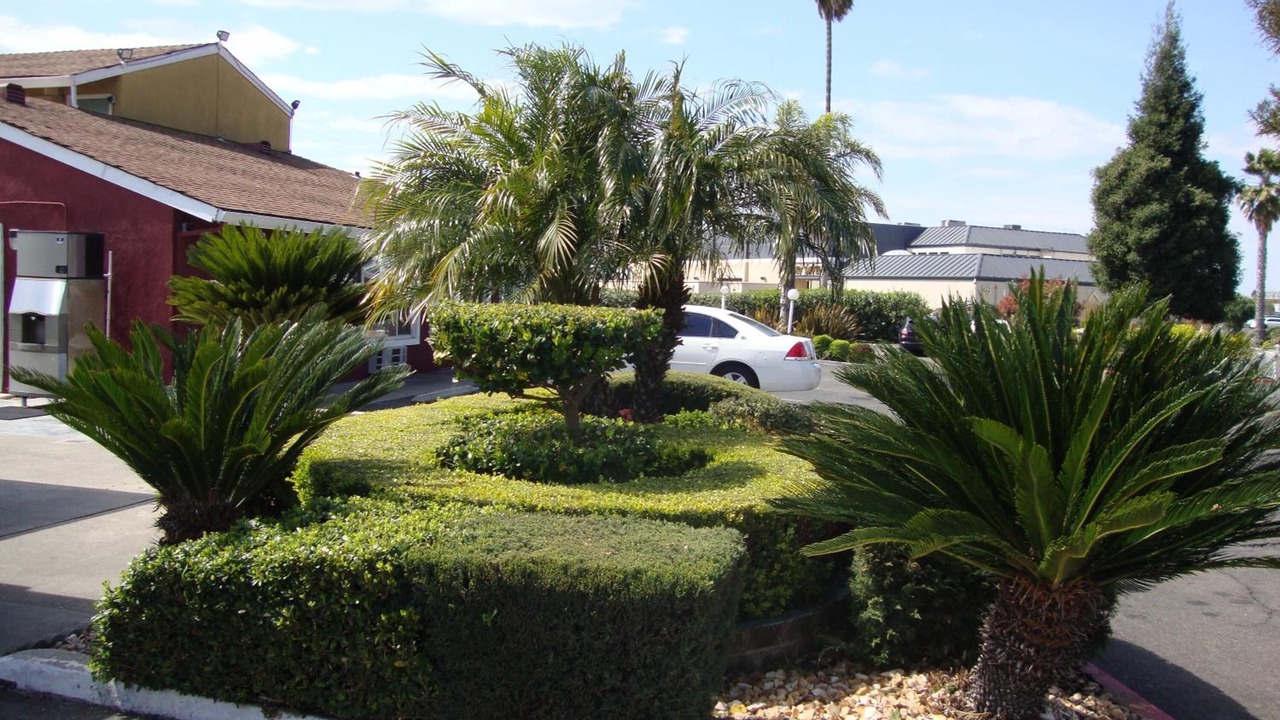 Photo of Outdoor in Southwestern Sacramento