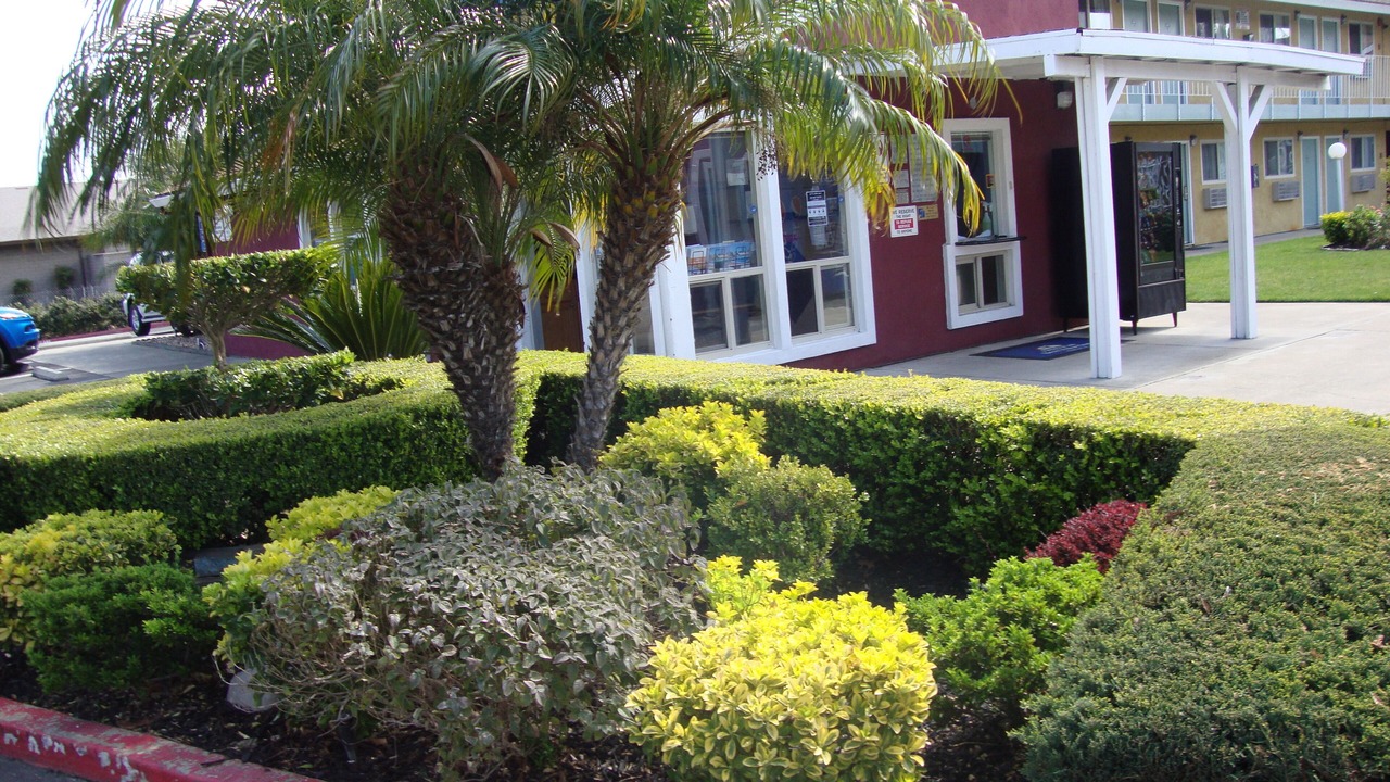 Photo of Outdoor in Southwestern Sacramento