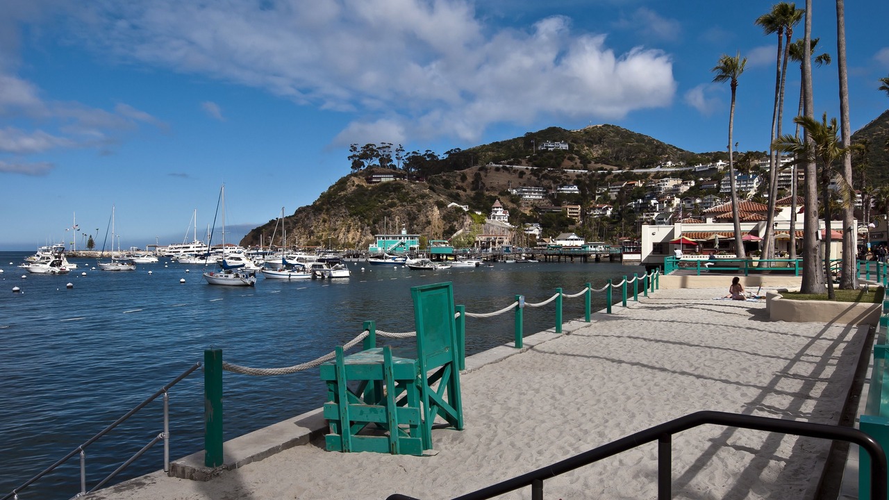 Photo of Others in Avalon