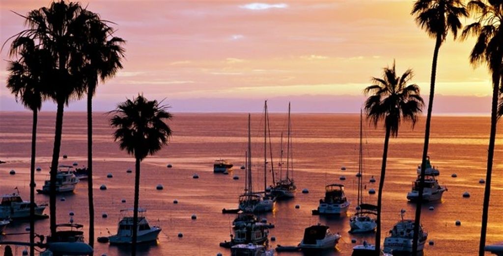 Photo of Others in Avalon