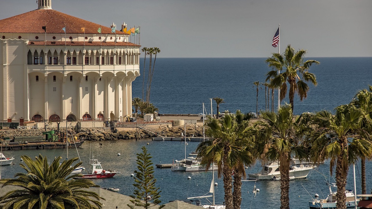 Photo of Others in Avalon